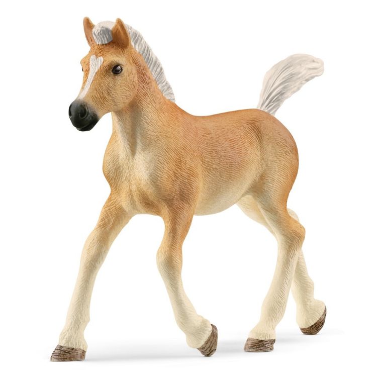 Schleich, Horse Club, Źrebak rasy Haflinger, figurka, 13951