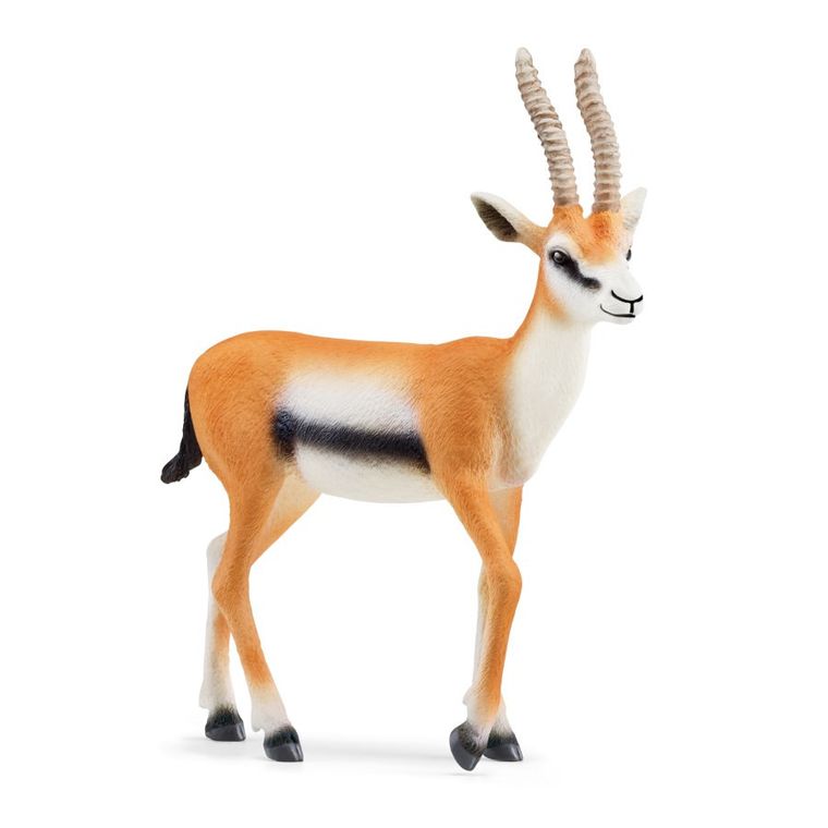 Schleich, Wild Life, Gazela Thomsona, figurka, 14861