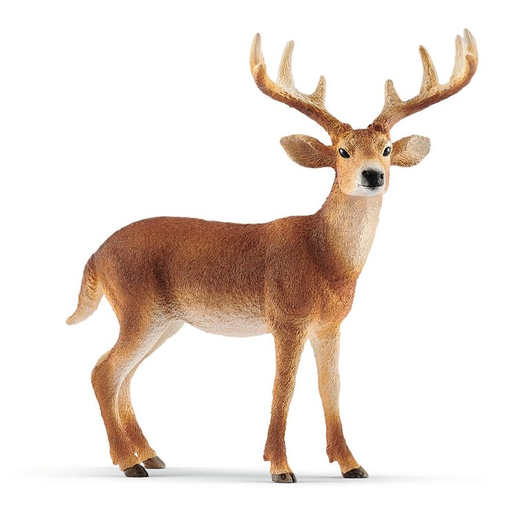 Schleich, Wild Life, Jeleń wirgiński, figurka, 14818