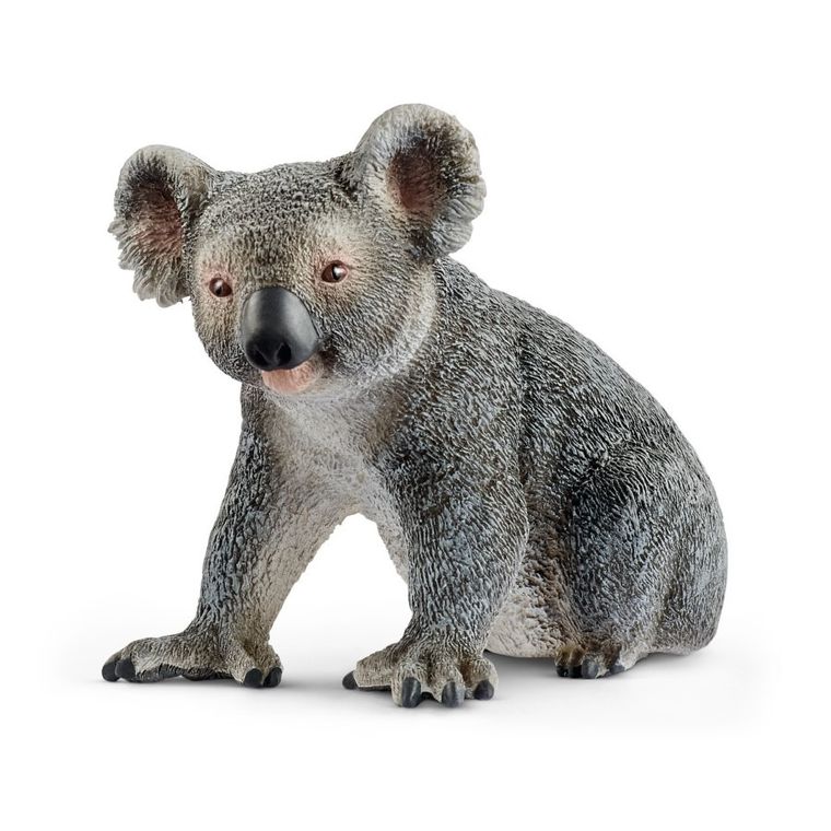 Schleich, Wild Life, Miś koala, figurka, 14815