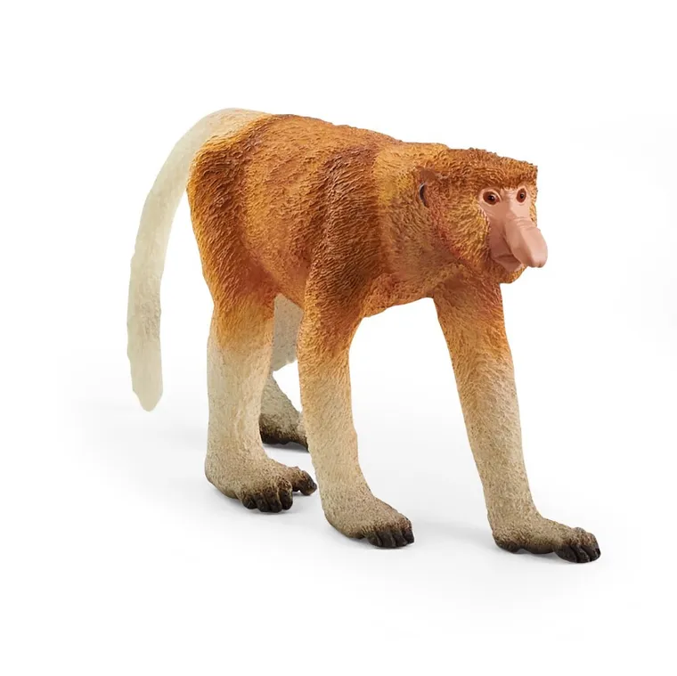 Schleich, Wild Life, Nosacz, figurka, 14846