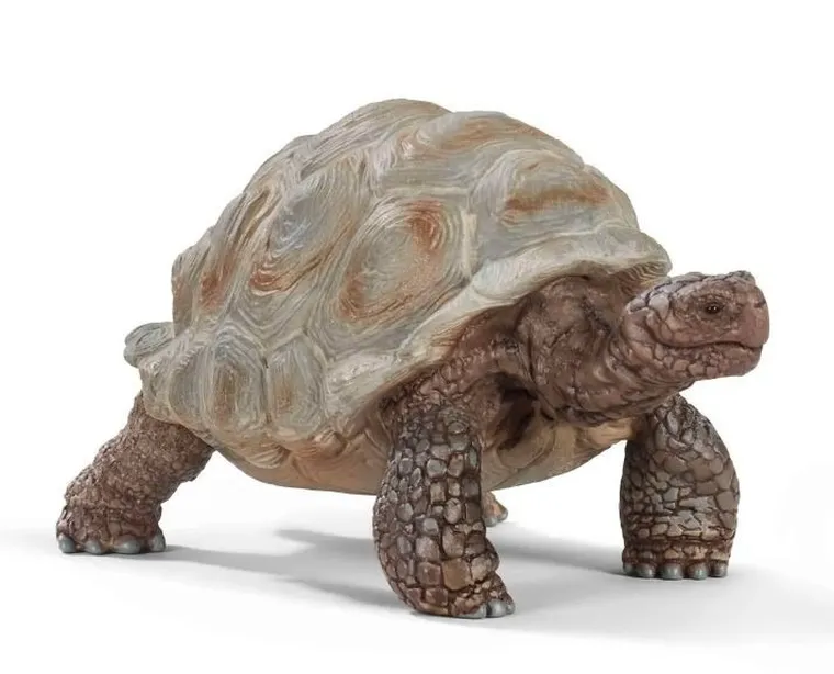 Schleich, Wild Life, Żółw gigant, figurka, 14824