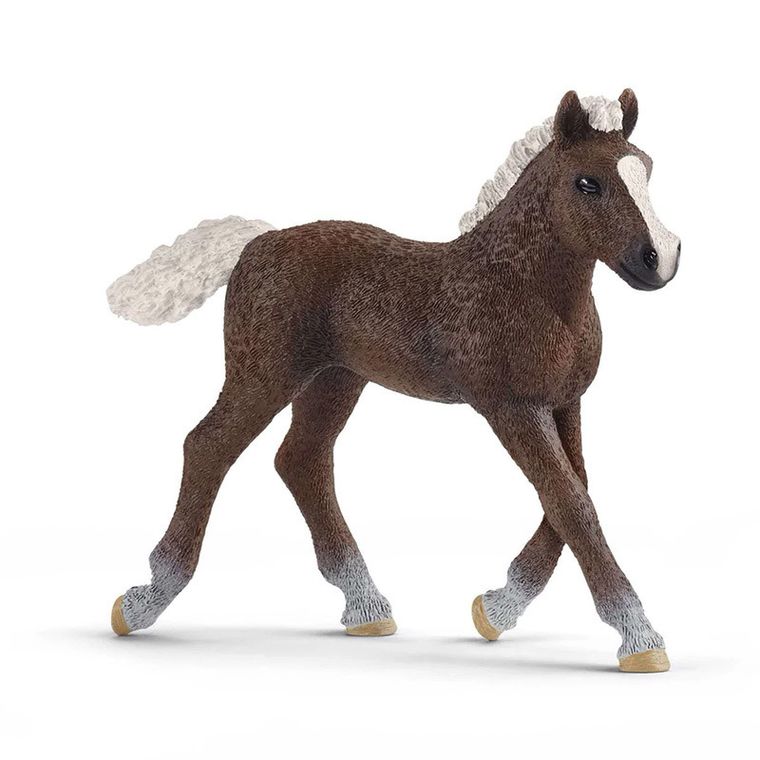 Schleich, Źrebię ze Schwarzwaldu, figurka