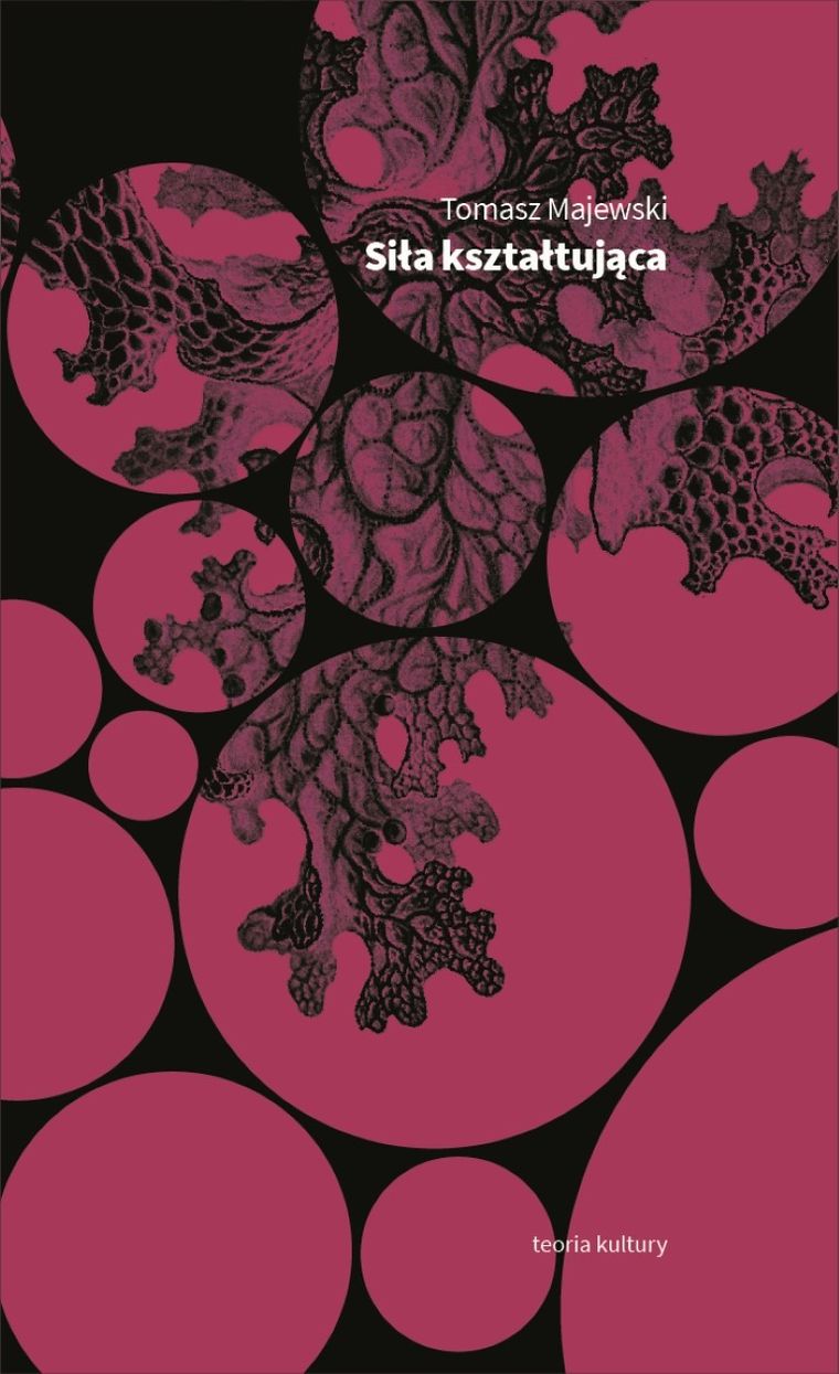 Siła kształtująca. Eseje o geście i świadectwie