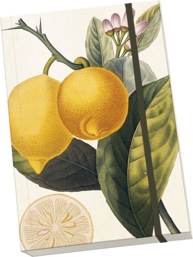 Skona Ting, Cytryna, notatnik ozdobny A5, 1 szt.