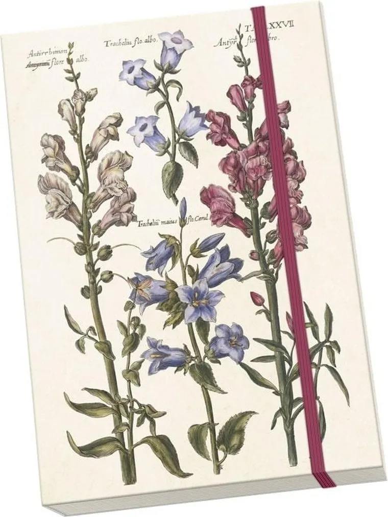 Skona Ting, Niebieskie kwiaty, notatnik ozdobny A5, 1 szt.