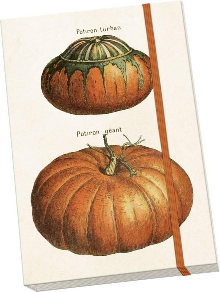 Skona Ting, notatnik, A5, Dynie