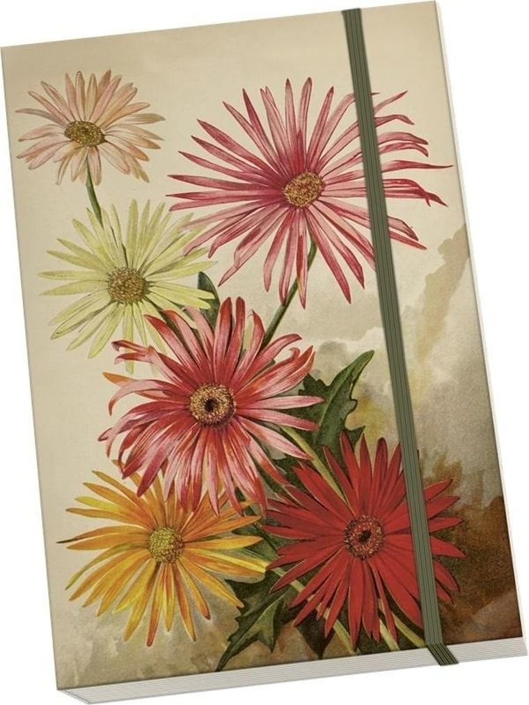 Skona Ting, notatnik, A5, Gerbery