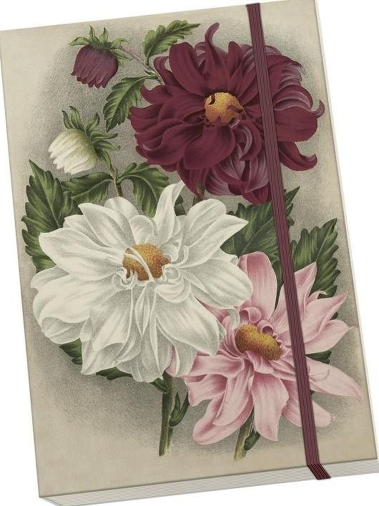 Skona Ting, notatnik ozdobny, A5, dalia fioletowa, 1 szt.