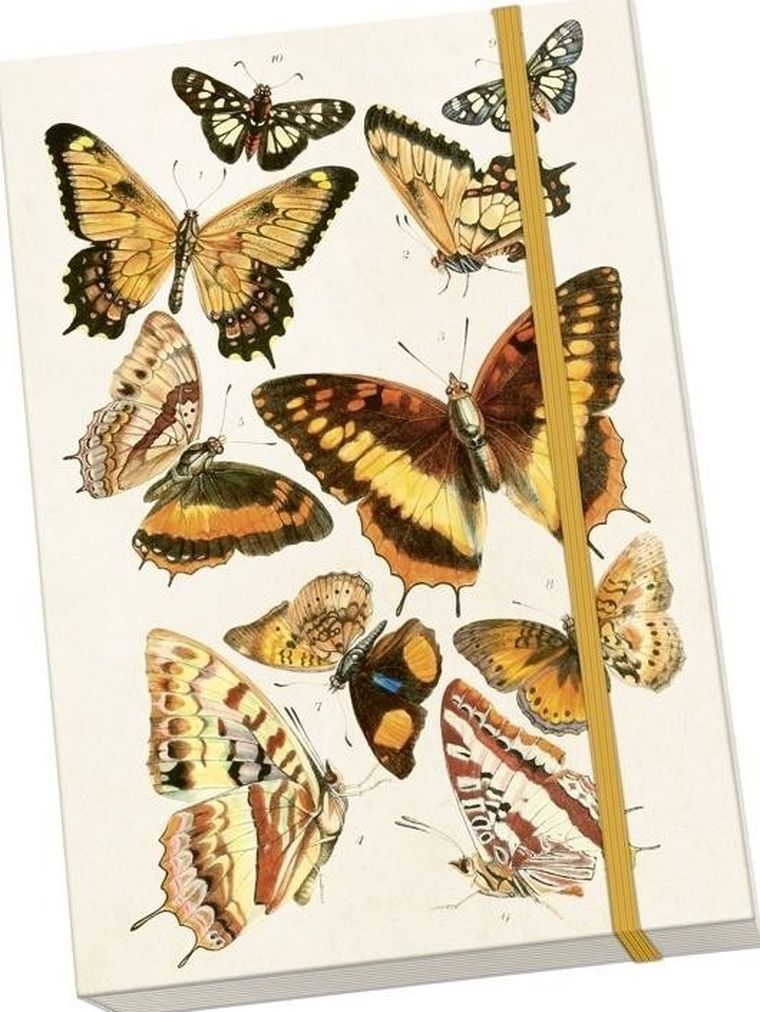 Skona Ting, notatnik ozdobny, A5, motyle, 1 szt.