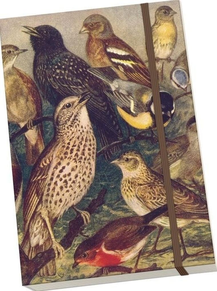 Skona Ting, notatnik ozdobny, A5, ptaki, 1 szt.