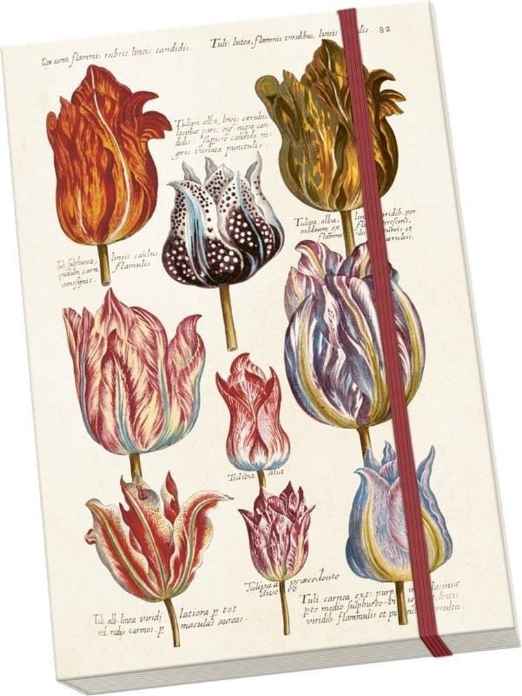 Skona Ting, notatnik ozdobny A5, Tulipany, 1 szt.