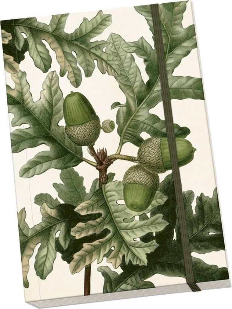 Skona Ting, notatnik ozdobny A5, żołądź, 1 szt.