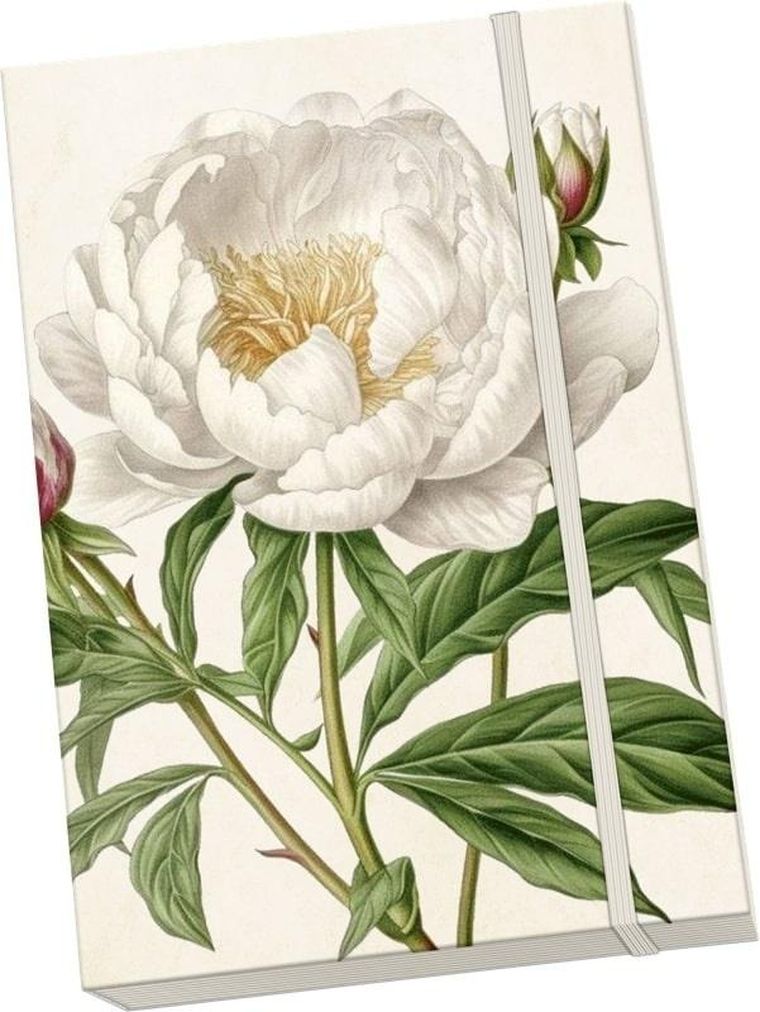 Skona Ting, Piwonie i róże, notatnik ozdobny A5, 1 szt.