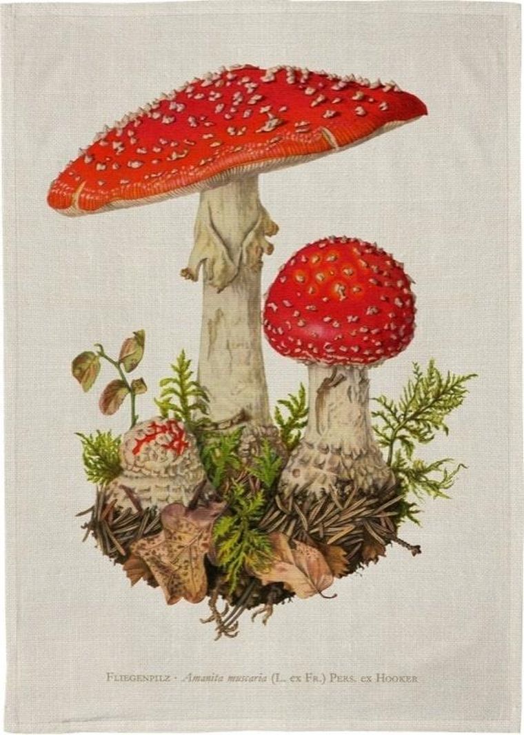 Skona Ting, ręcznik kuchenny, muchomor