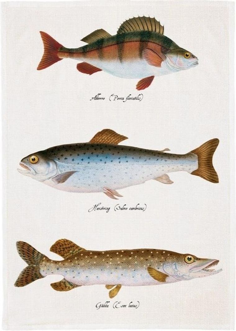 Skona Ting, ręcznik kuchenny, ryby