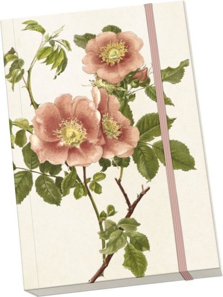 Skona Ting, Róże, notatnik ozdobny A5, 1 szt.