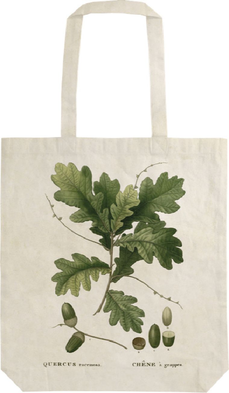 Skona Ting, torba bawełniana na ramię, szoperka, liść dębu