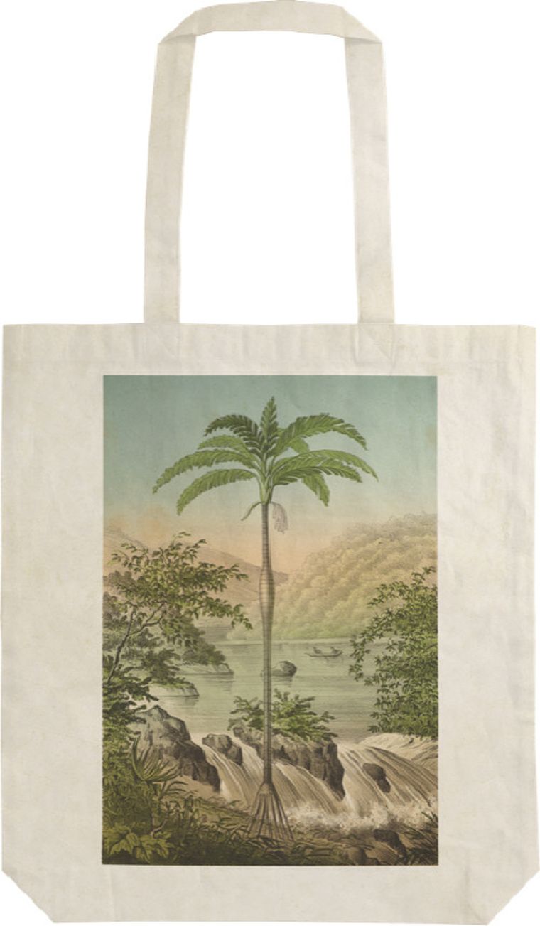Skona Ting, torba bawełniana na ramię, szoperka, palma