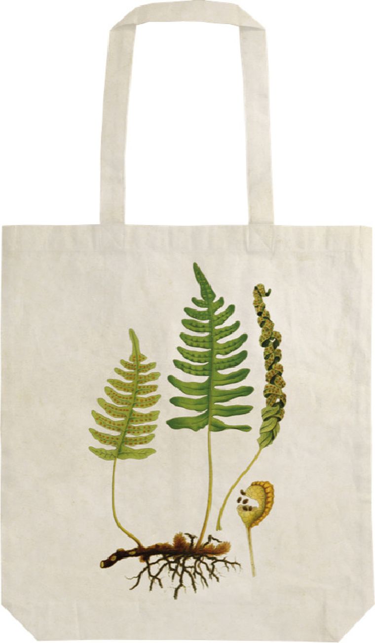 Skona Ting, torba bawełniana na ramię, szoperka, paproć