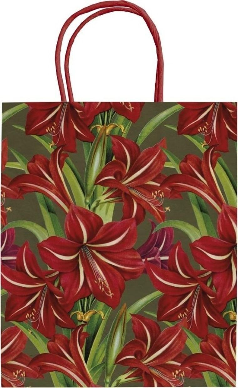 Skona Ting, torebka ozdobna A5, Gwiazda Betlejemska