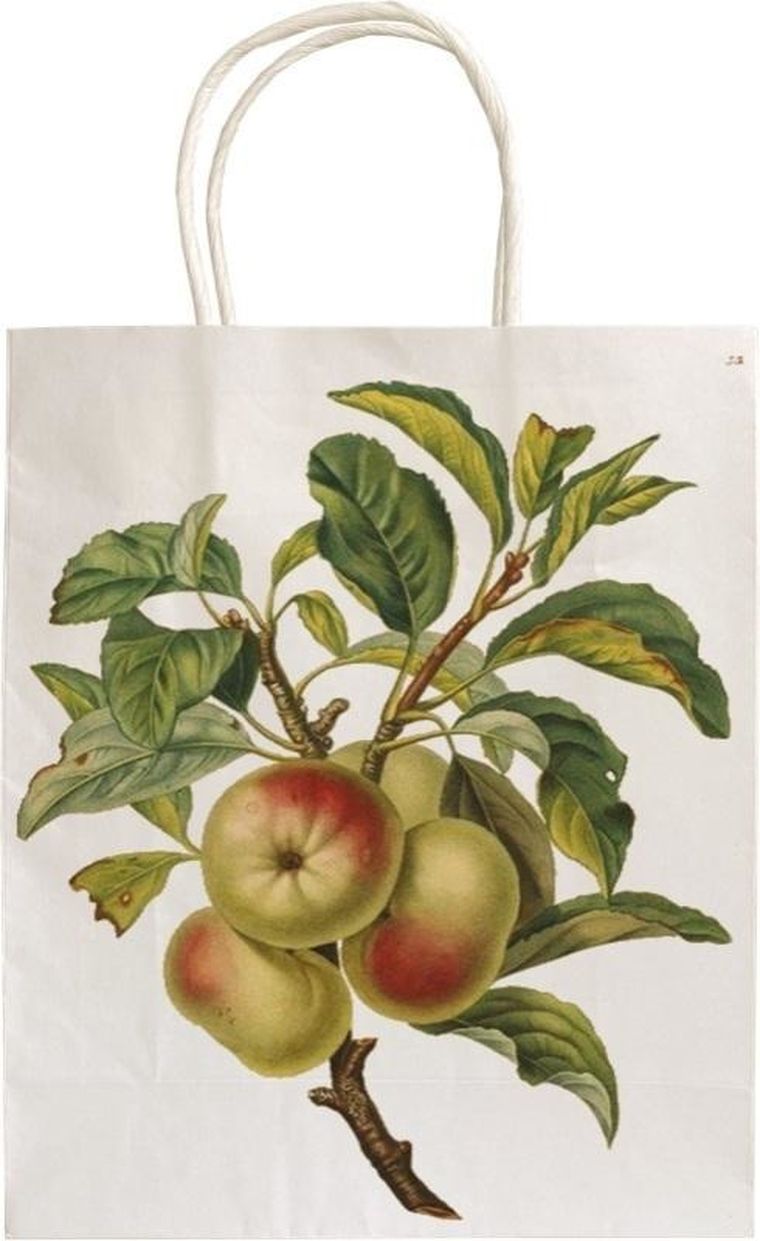 Skona Ting, torebka ozdobna, A5, Jabłoń