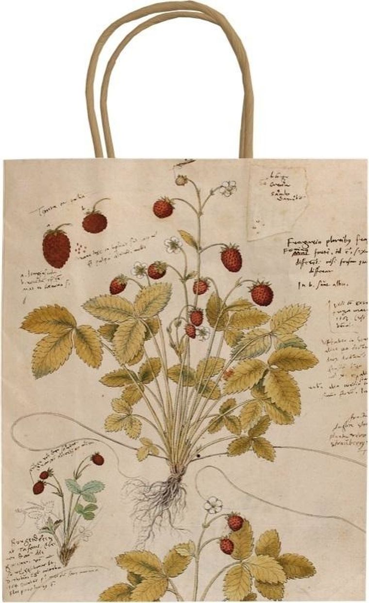 Skona Ting, torebka ozdobna, A5, Poziomka