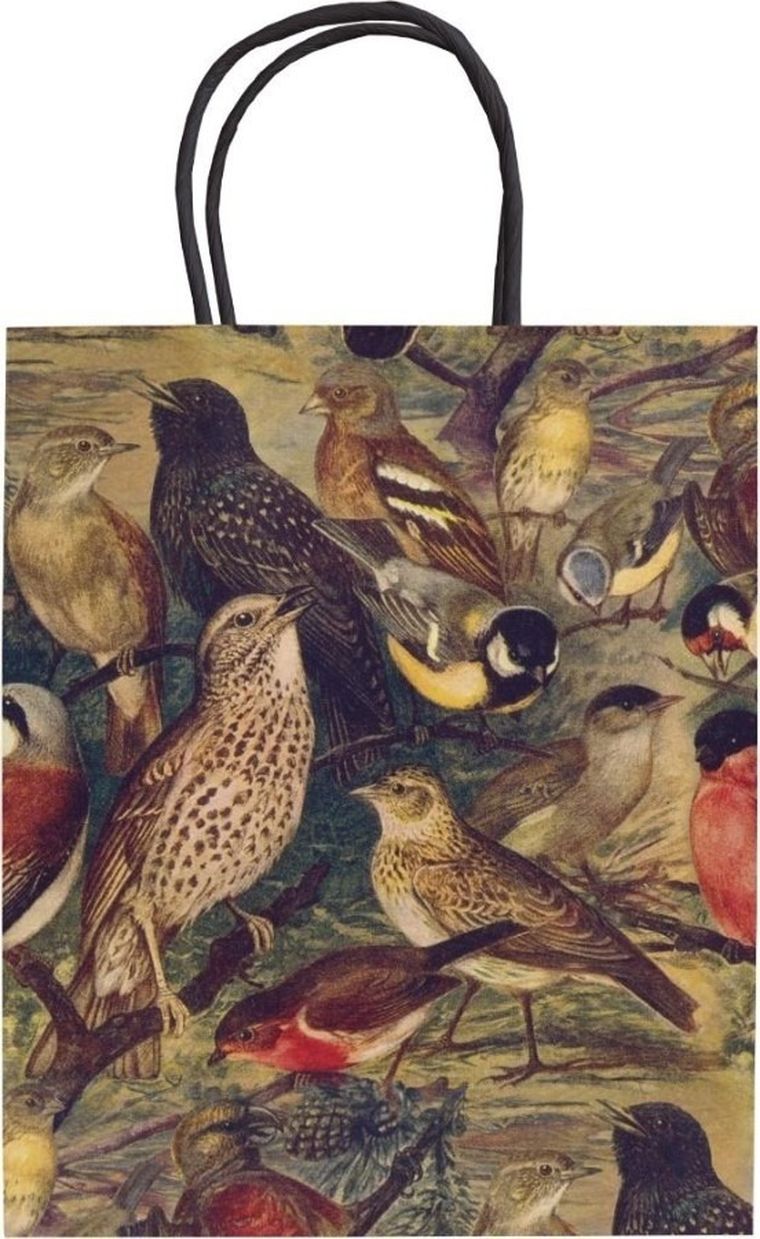 Skona Ting, torebka ozdobna A5, Ptaki