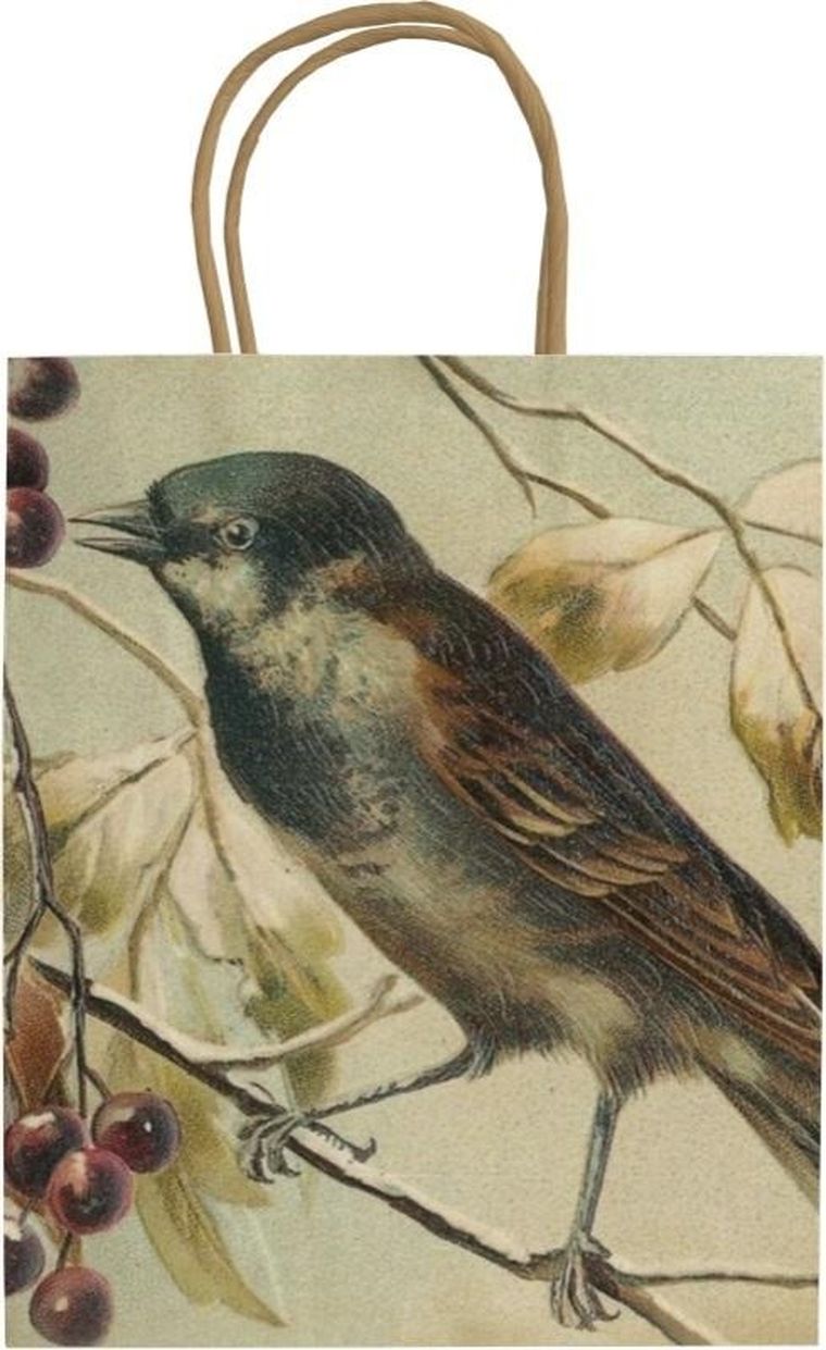 Skona Ting, torebka prezentowa, ptaszek na gałęzi, A5