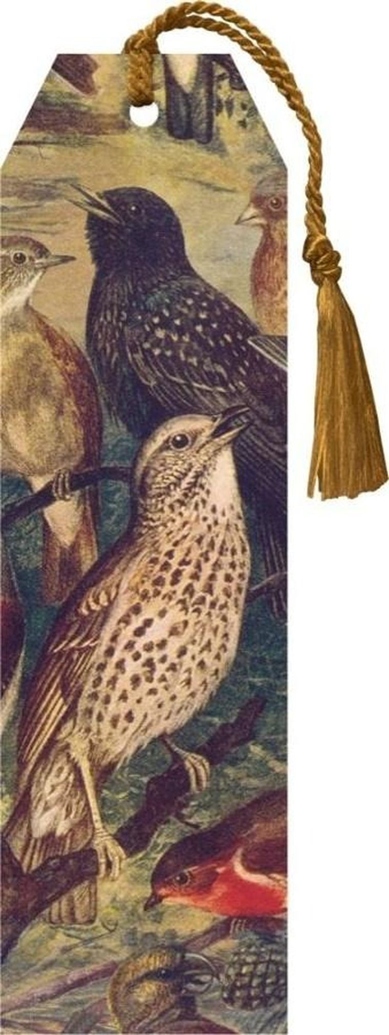 Skona Ting, zakładka do książki ze wstążką, Ptaki