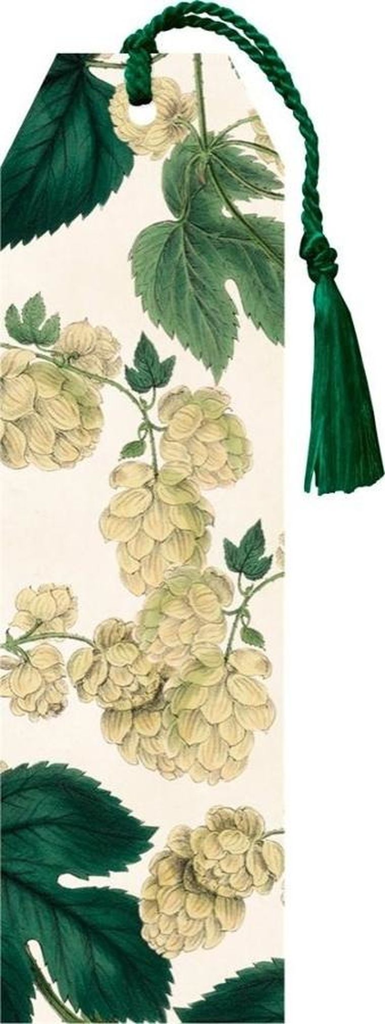 Skona Ting, zakładka ze wstążką, Chmiel