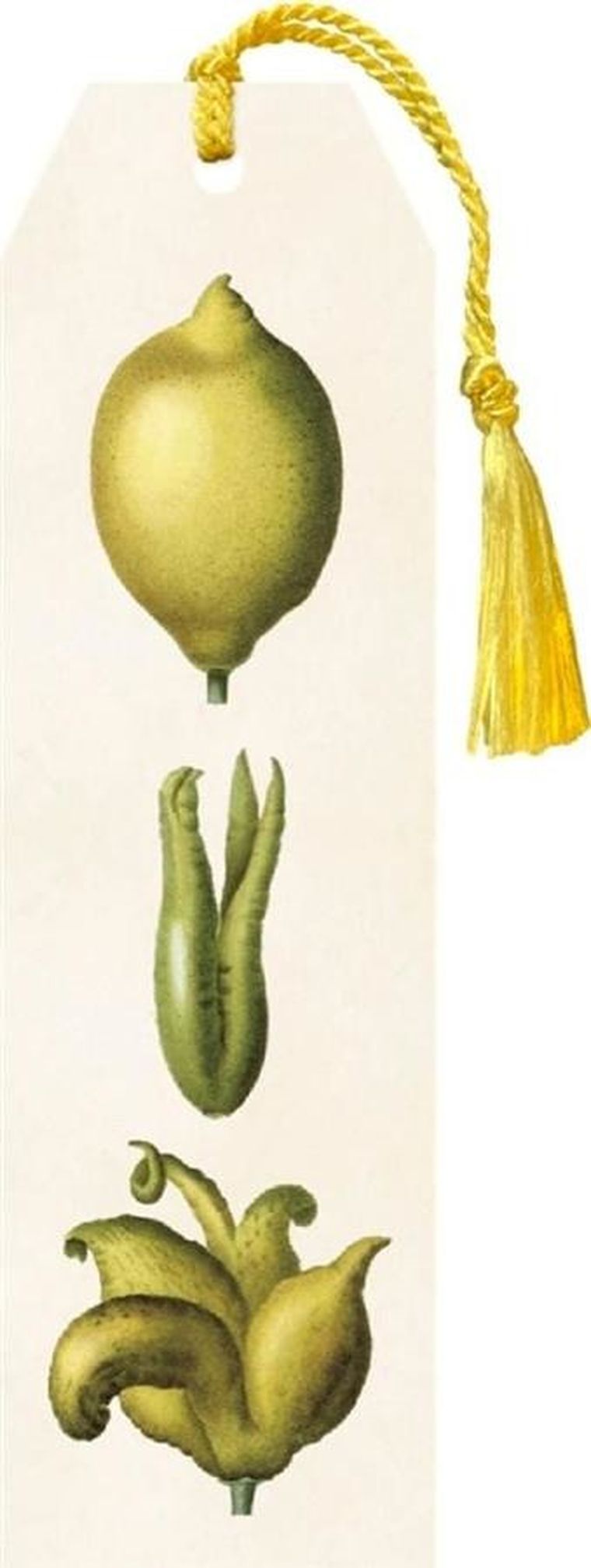 Skona Ting, zakładka ze wstążką, Cytryny