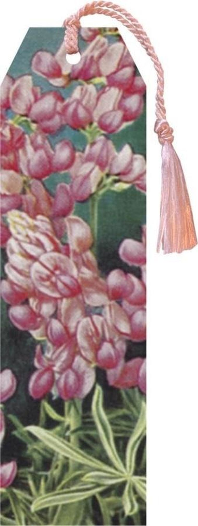 Skona Ting, zakładka ze wstążką, Łubin