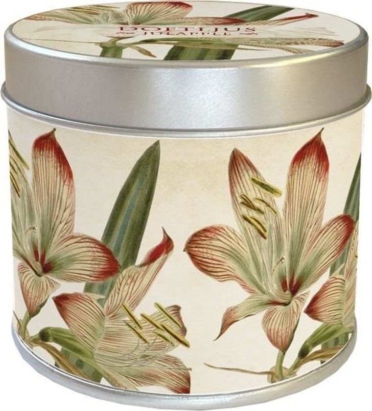 Skona Ting, zapachowa świeczka 202, amarylis, zapach jabłko