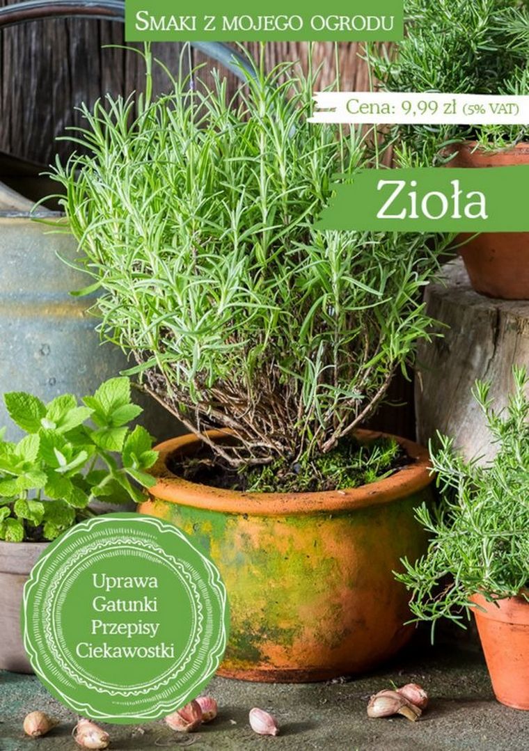 Smaki z mojego ogrodu. Zioła. Smaki z mojego ogrodu