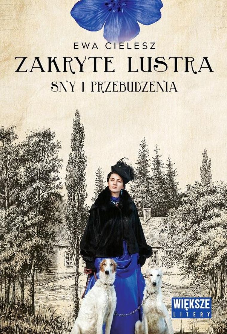 Sny i przebudzenia. Zakryte lustra. Tom 1 (duże litery)
