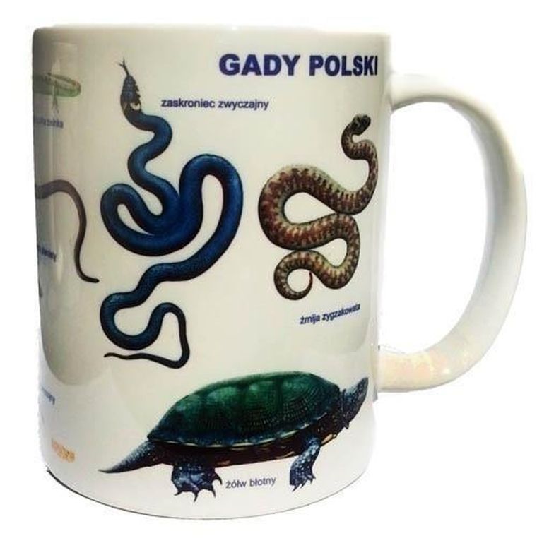 Soliton, kubek, gady