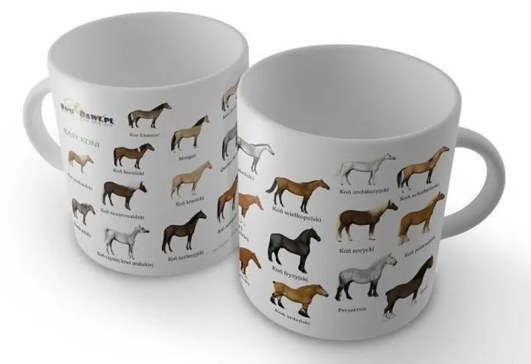 Soliton, kubek, konie