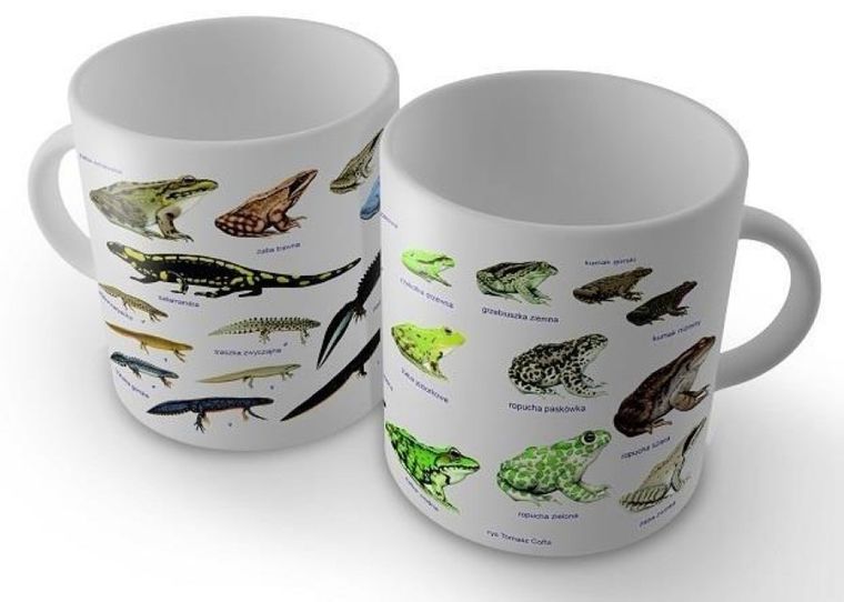 Soliton, kubek, płazy