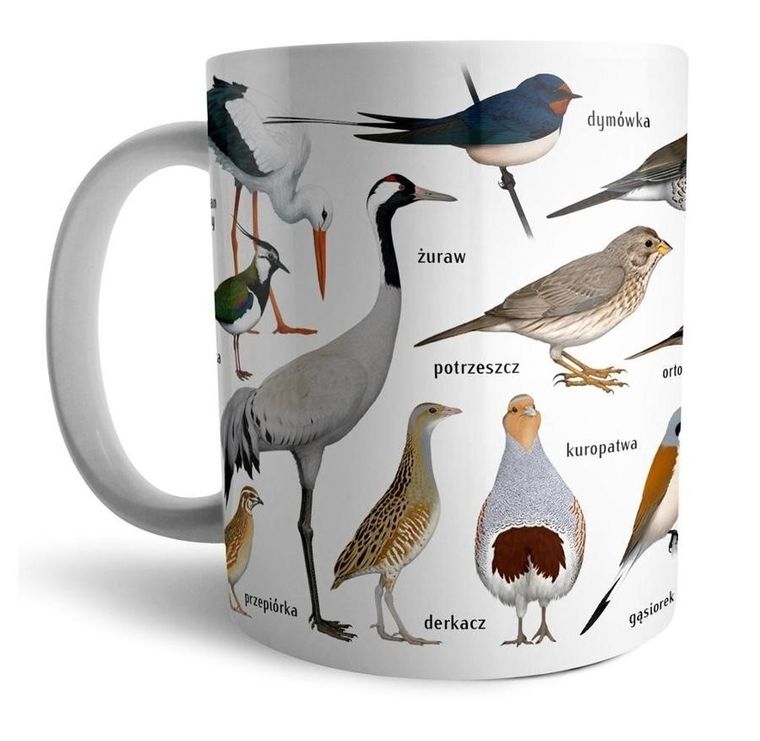 Soliton, kubek, ptaki na wsi, wiejskie