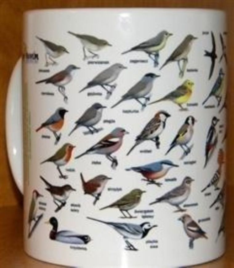 Soliton, kubek, ptaki polski