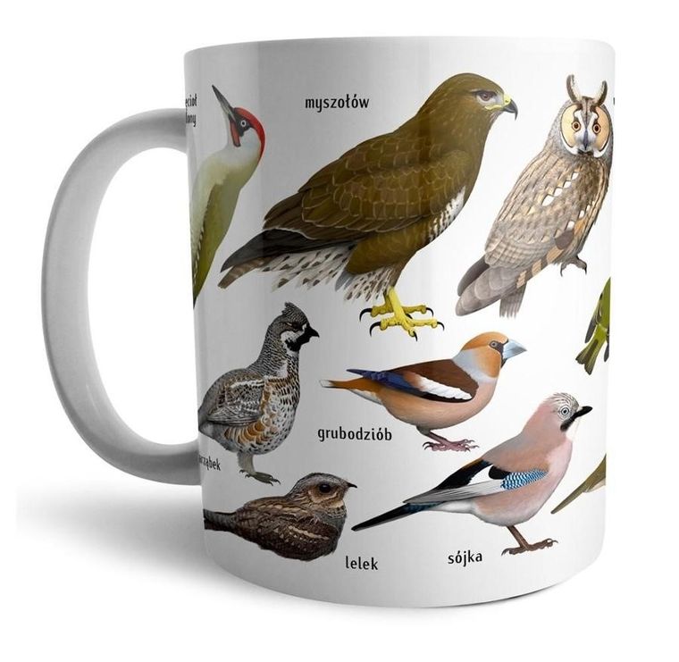 Soliton, kubek, ptaki w lesie, leśne