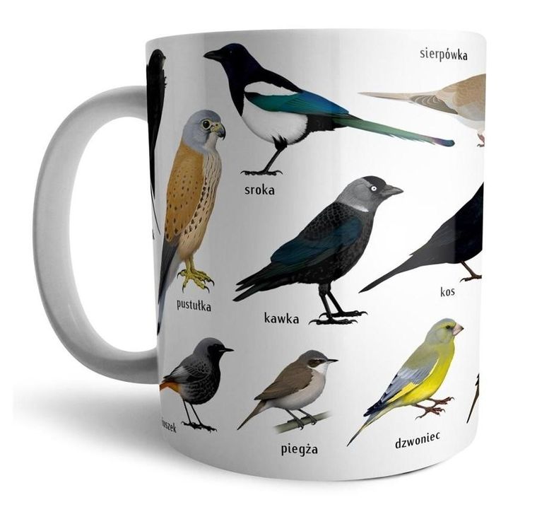 Soliton, kubek, ptaki w mieście, miejskie