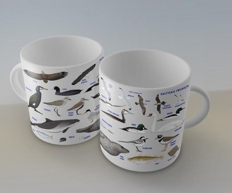 Soliton, kubek, zwierzęta Bałtyku