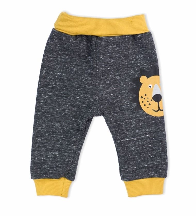 Spodnie dresowe chłopięce, grafitowe, lew, Nicol