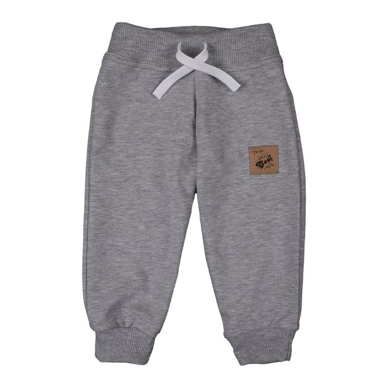 Spodnie dresowe chłopięce, szare, Tup Tup
