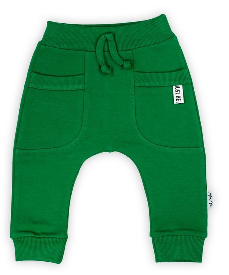 Spodnie dresowe chłopięce, zielone, Nicol