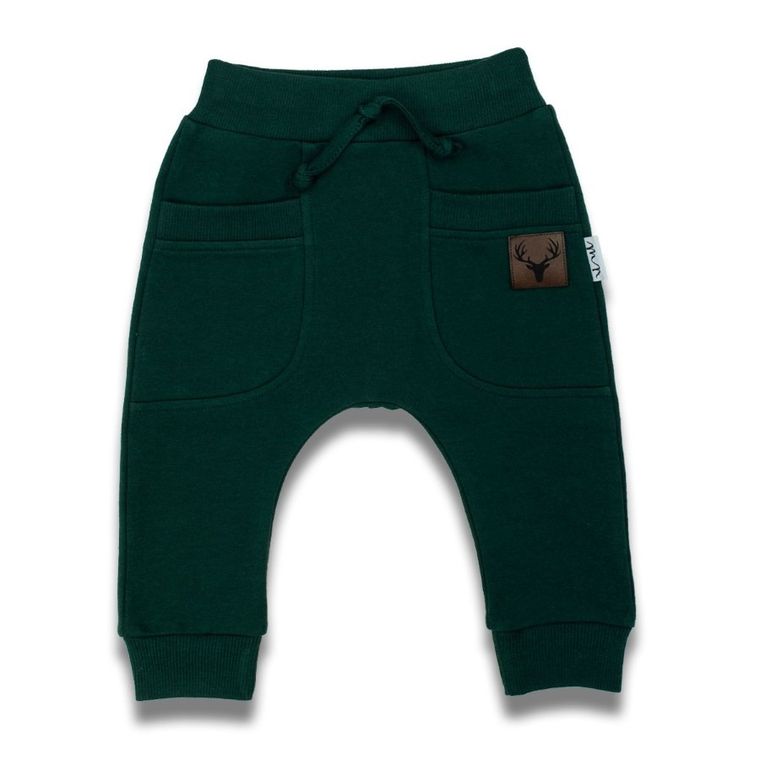 Spodnie dresowe chłopięce, zielone, Nicol