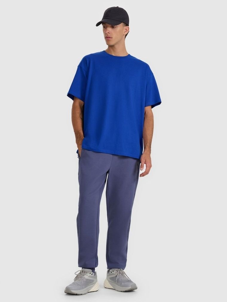 Spodnie dresowe męskie, niebieskie, 4F