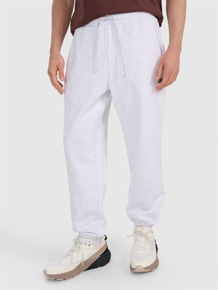 Spodnie dresowe męskie, szare, 4F